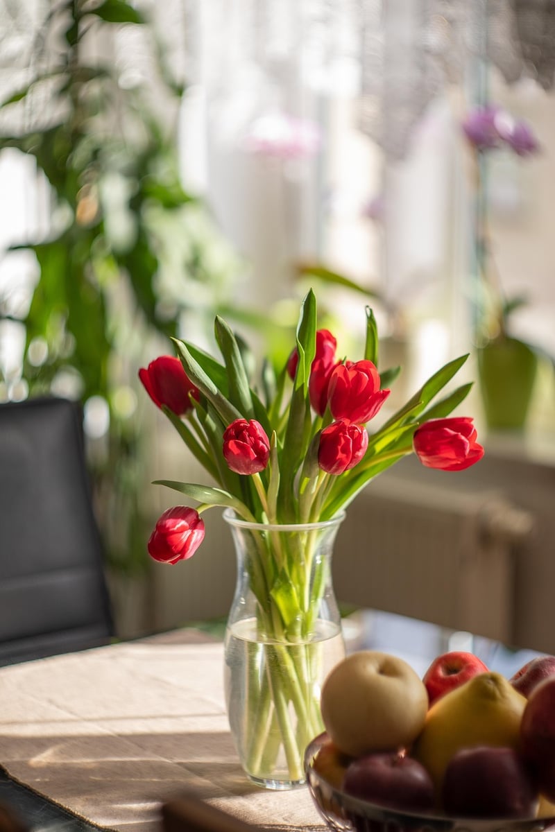 Indoor Plants