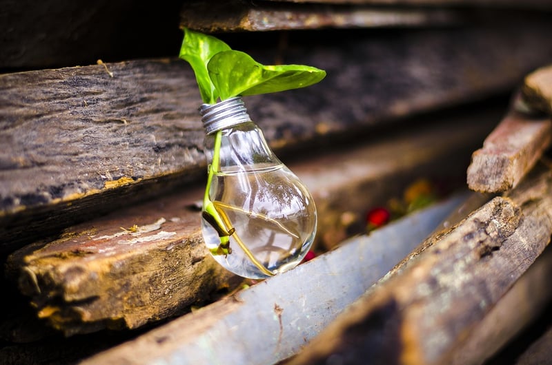 Upcycled Materials